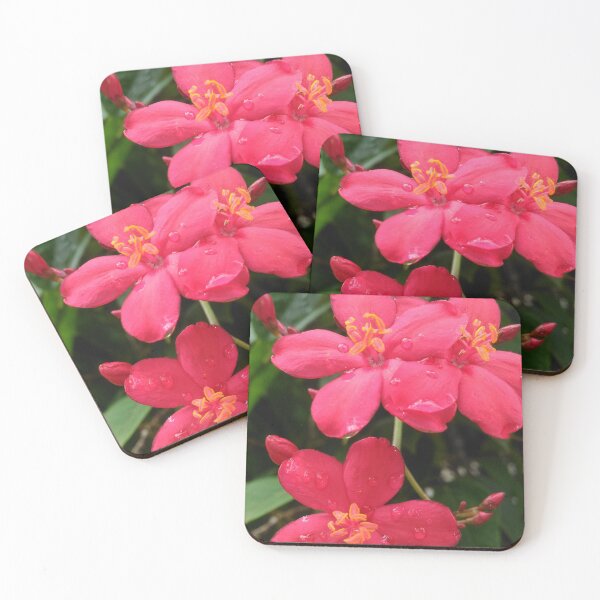 Item preview, The Spicy Red Flower (Jatropha Integerrima) designed and sold by GiganticSale.