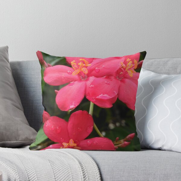 Item preview, The Spicy Red Flower (Jatropha Integerrima) designed and sold by GiganticSale.