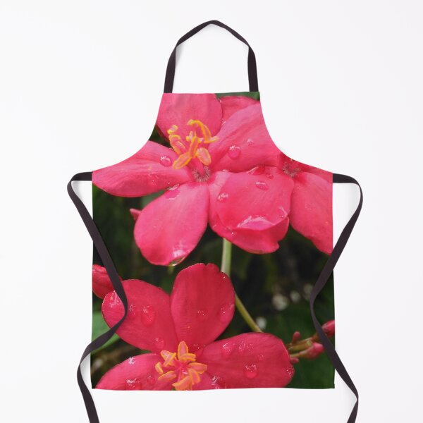 Item preview, The Spicy Red Flower (Jatropha Integerrima) designed and sold by GiganticSale.
