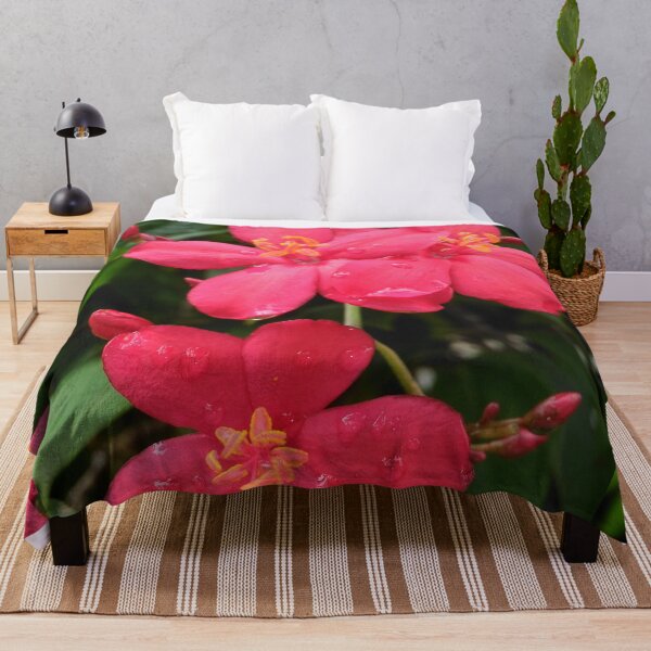 Item preview, The Spicy Red Flower (Jatropha Integerrima) designed and sold by GiganticSale.