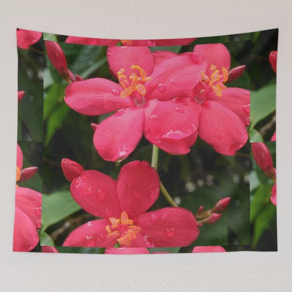 Item preview, La flor roja picante (Jatropha Integerrima) designed and sold by GiganticSale.