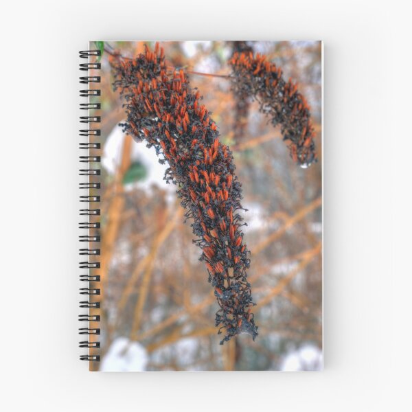 Item preview, Bludenz (Vorarlberg, Austria) designed and sold by PeterCseke.