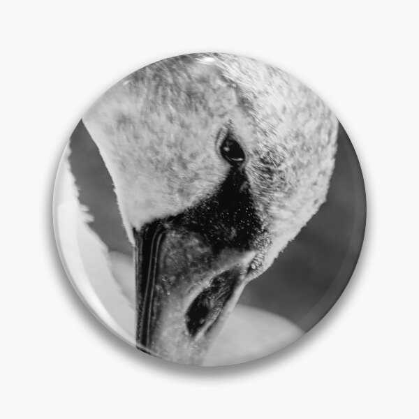 Item preview, swan close up designed and sold by HaleyRedshaw.