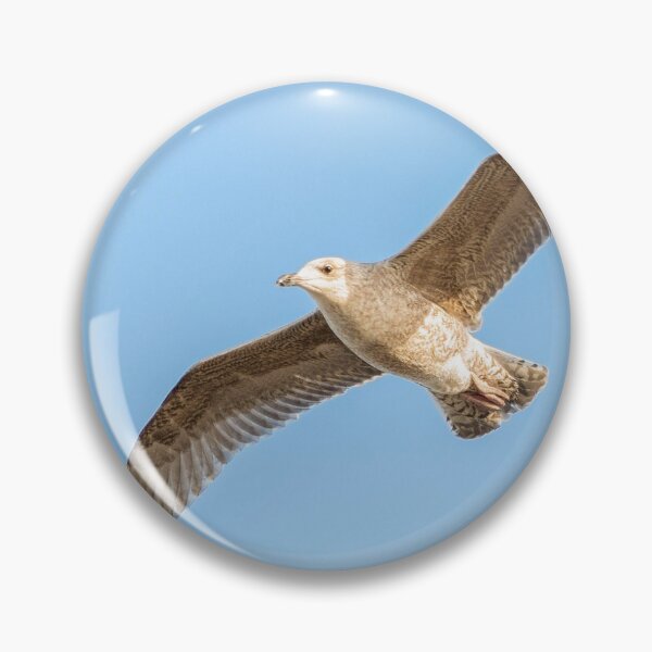 Item preview, Seagull in flight designed and sold by HaleyRedshaw.