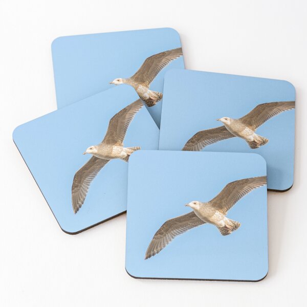 Item preview, Seagull in flight designed and sold by HaleyRedshaw.