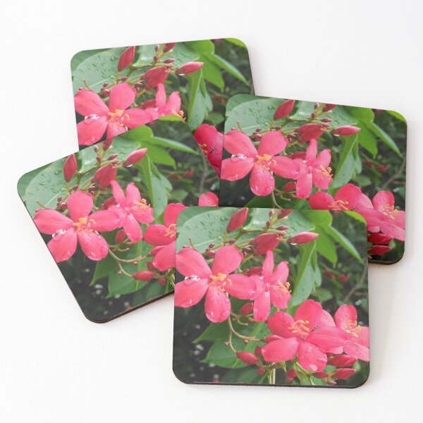 Item preview, The Depth within Red Flower (Jatropha Integerrima) designed and sold by GiganticSale.