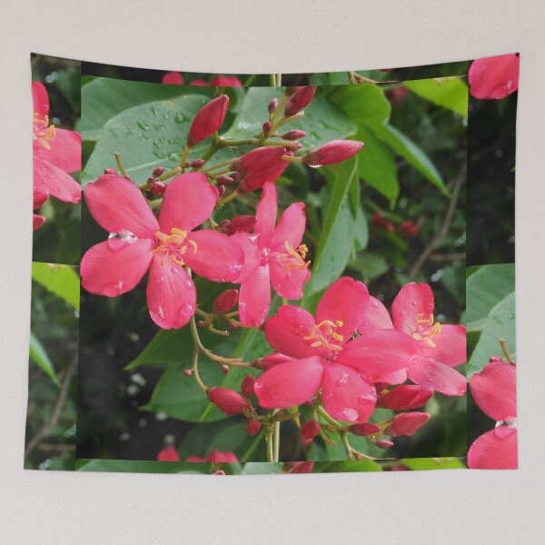 Item preview, The Depth within Red Flower (Jatropha Integerrima) designed and sold by GiganticSale.