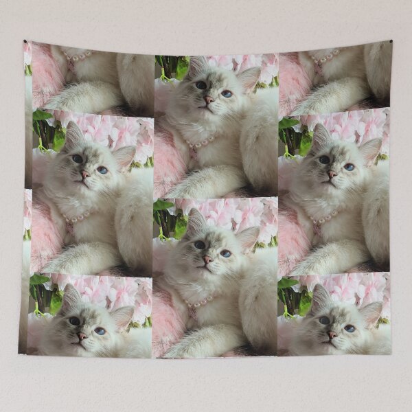 Item preview, Ragdoll kitten  designed and sold by Fluffycat2020.