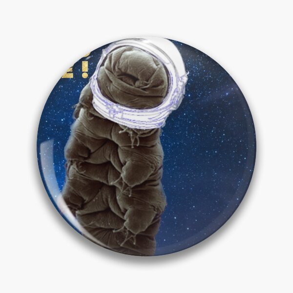Item preview, Moss piglets in space!  (2) designed and sold by jonfun1.