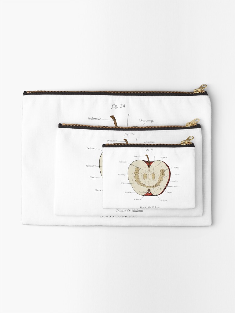 Alternate view of The Magnus Archives - Anatomy Class - Teeth Apple Zipper Pouch