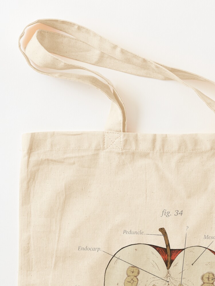 Alternate view of The Magnus Archives - Anatomy Class - Teeth Apple Tote Bag