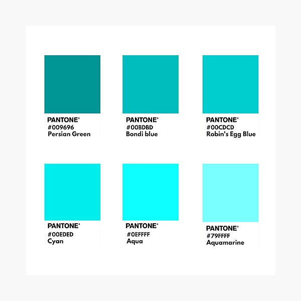 Green to cyan palette pantone color swatch Photographic Print for Sale by  softlycarol