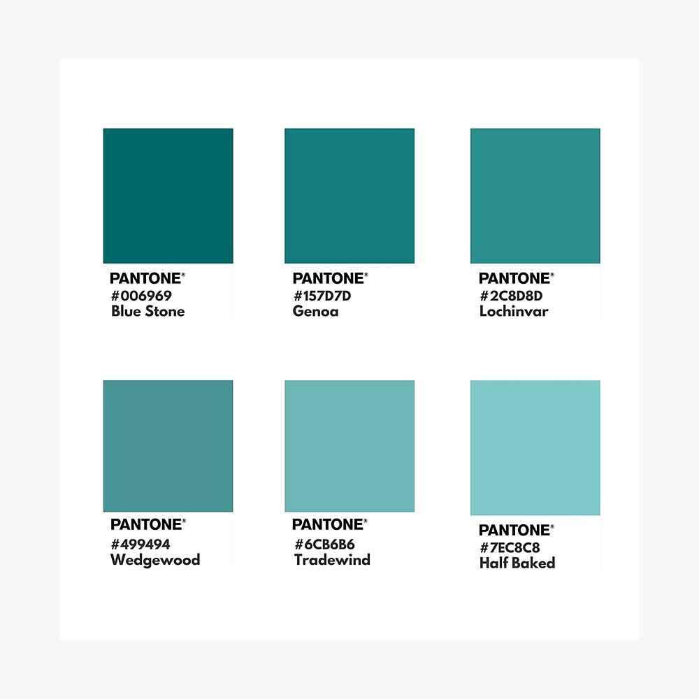 Pantone Color For Digital Printing