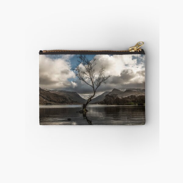 Item preview, Llyn Padaarn's Lonely Tree  designed and sold by Chris V Evans.