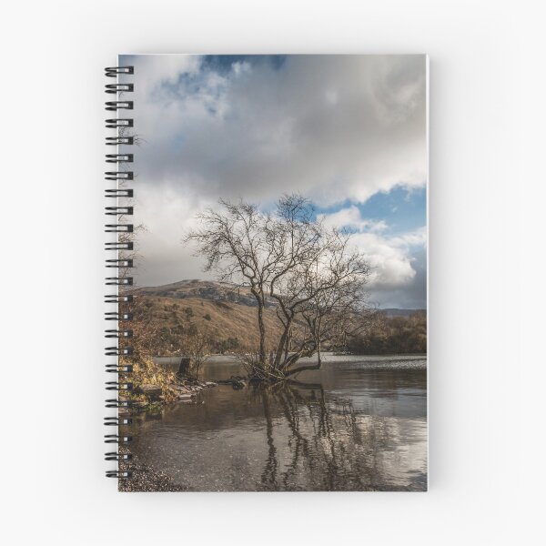 Item preview, Llyn Padarn's other trees  designed and sold by Chris V Evans.