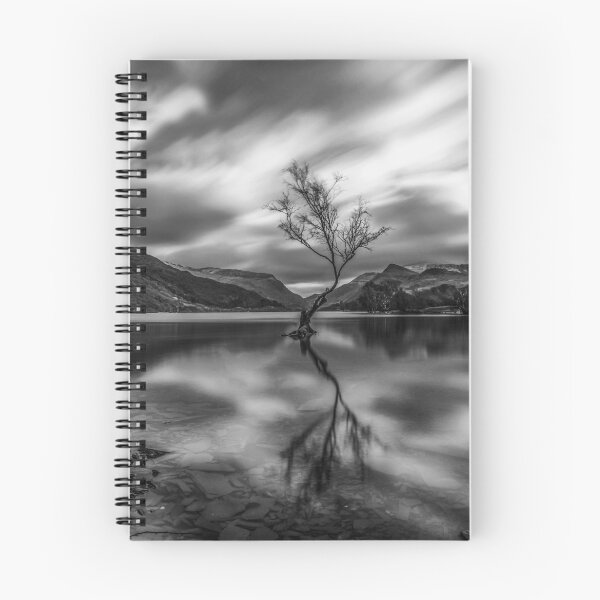 Item preview, The Lonely Treaa in Monochrome  designed and sold by Chris V Evans.