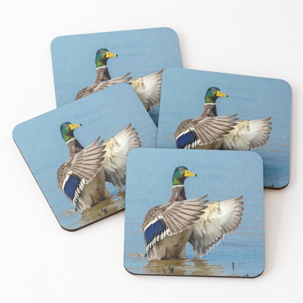 Item preview, Clapping Mallard designed and sold by Dalyndigital Photography.