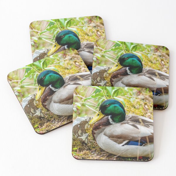 Item preview, Pato simplemente holgazaneando designed and sold by Dalyndigital Photography.