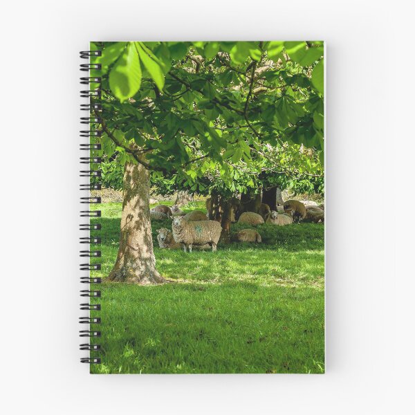 Item preview, Sheep shading under the trees designed and sold by Dalyndigital Photography.