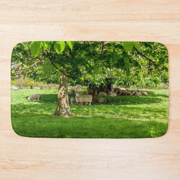 Item preview, Sheep shading under the trees designed and sold by Dalyndigital Photography.