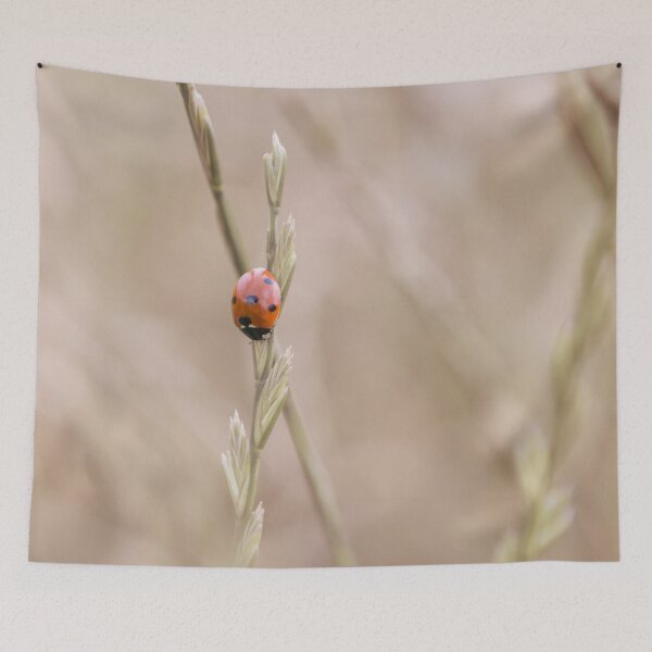 Item preview, Ladybird love bug designed and sold by HaleyRedshaw.