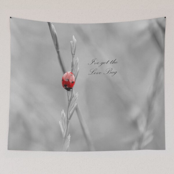 Item preview, Ladybird love bug designed and sold by HaleyRedshaw.