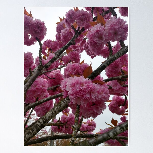 Item preview, Pink Tree Pop designed and sold by circus-shop.
