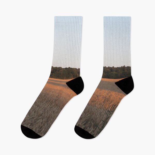 Item preview, Cornfield at Sunset designed and sold by FlowerCloud.