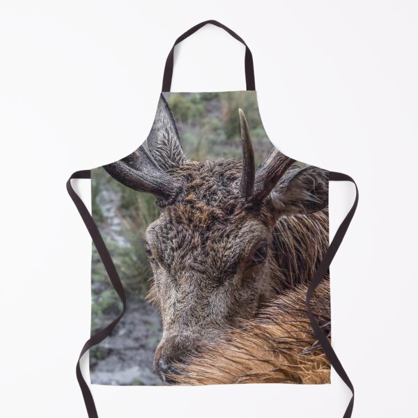 Item preview, Wild stag close up portrait  designed and sold by HaleyRedshaw.