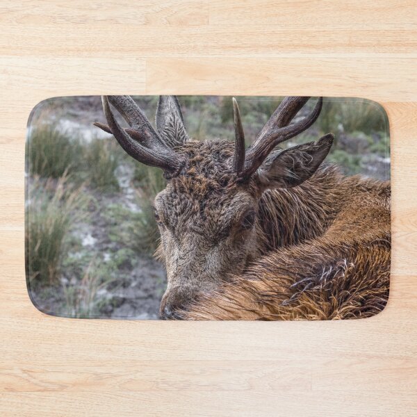 Item preview, Wild stag close up portrait  designed and sold by HaleyRedshaw.