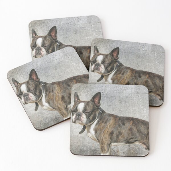 Item preview, Boston terrier designed and sold by Photopat.