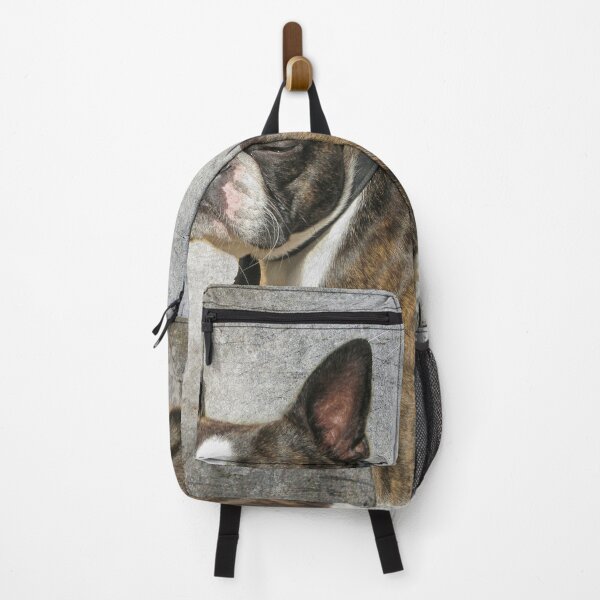 Item preview, Boston terrier designed and sold by Photopat.