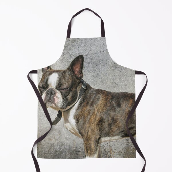Item preview, Boston terrier designed and sold by Photopat.