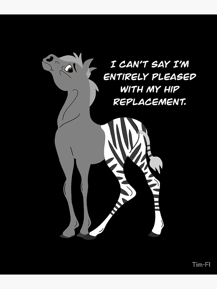 "horse zebra meme" Poster by TimFl Redbubble