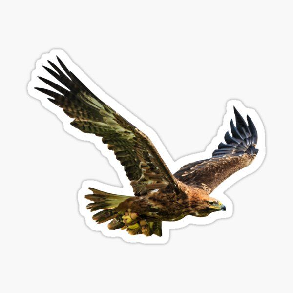Item preview, The Flight of the Eagle designed and sold by OwlOccasions.