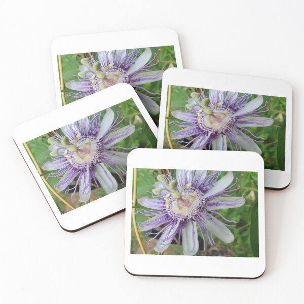 Item preview, Purple Flower Closeup designed and sold by JocelynCrafts.
