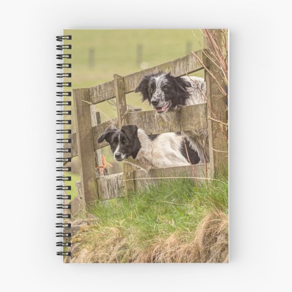 Item preview, Countryside farm sheep dogs designed and sold by HaleyRedshaw.