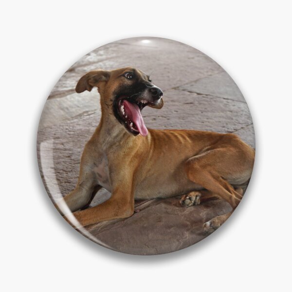 Item preview, Laughing dog designed and sold by BlackoutPhotos.