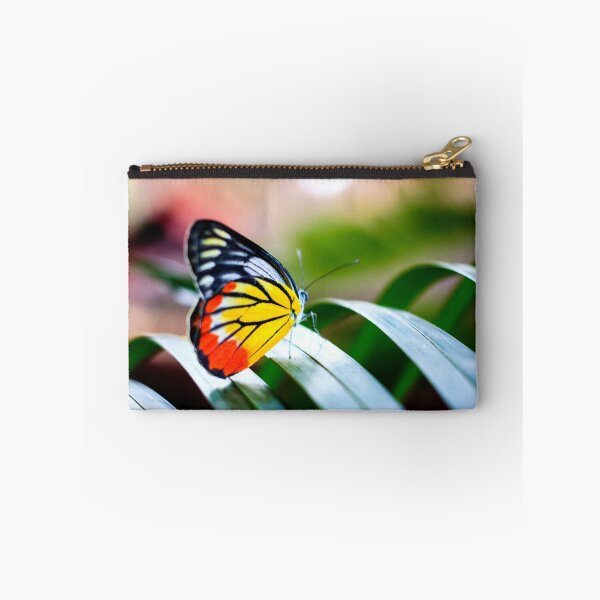 Item preview, Butterfly resting on the palm tree leaf. designed and sold by Rrrainbow.