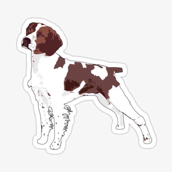 Aperçu de l'œuvre Chien épagneul breton pour les amoureux de la Bretagne créée et vendue par tchilipepper.