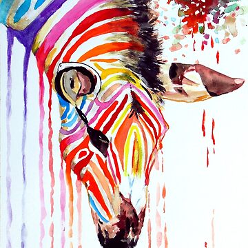 Rainbow Zebra - Art Prints