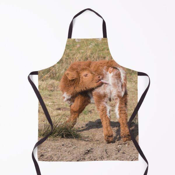 Item preview, Scottish Highland baby licking cow designed and sold by HaleyRedshaw.