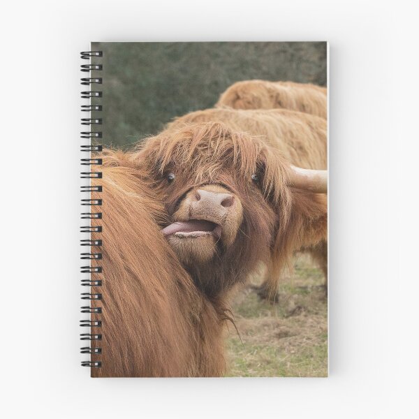 Item preview, Funny Scottish Highland cow designed and sold by HaleyRedshaw.