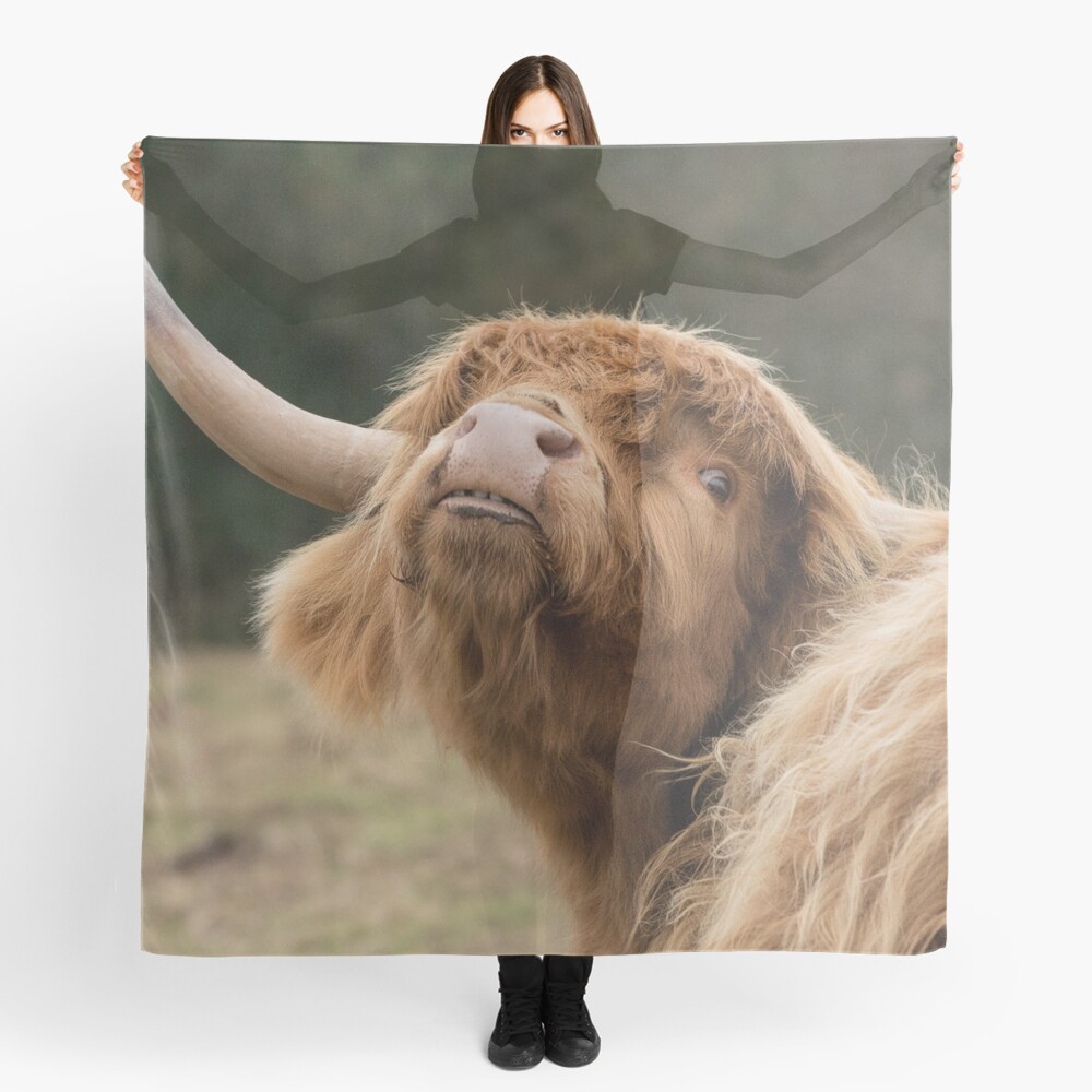 “Scottish Highland cow” Scarf by HaleyRedshaw | Redbubble