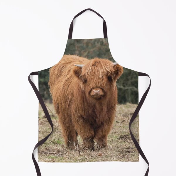 Item preview, Young Scottish Highland cow designed and sold by HaleyRedshaw.