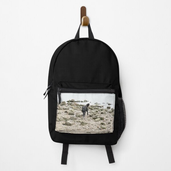 Item preview, Dog on the beach designed and sold by BlackoutPhotos.