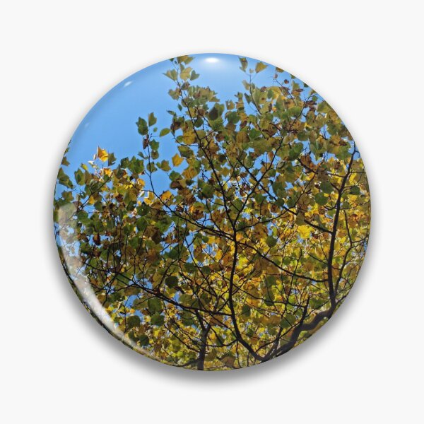 Item preview, Tulip Tree in the Autumn designed and sold by Avril Harris.
