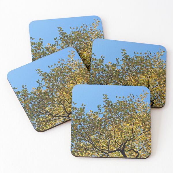 Item preview, Tulip Tree in the Autumn designed and sold by Avril Harris.