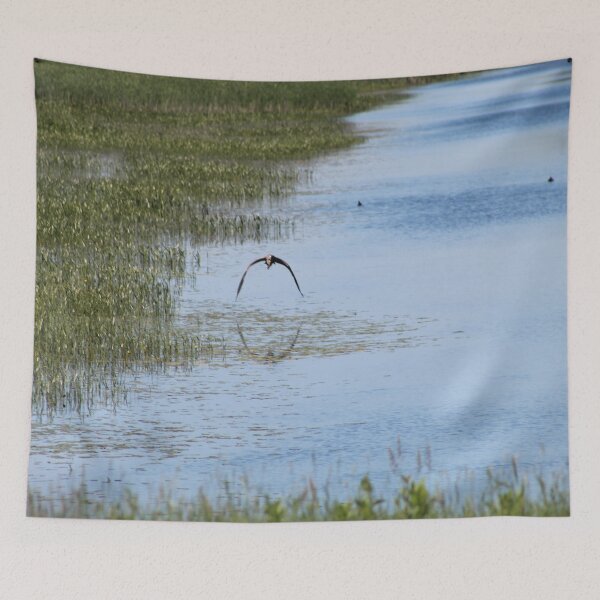 Item preview, Flying Osprey designed and sold by William Franklin-Cromwell.