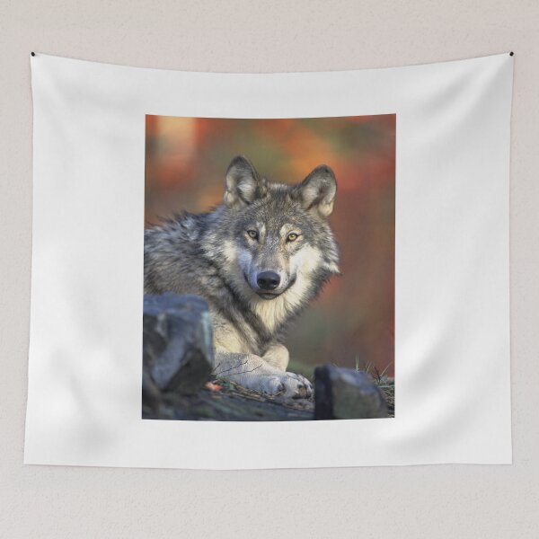 Item preview, Wolf designed and sold by Magounette.